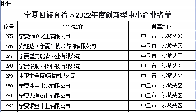 喜 報—公司入選自治區2022年度創新型中小企業